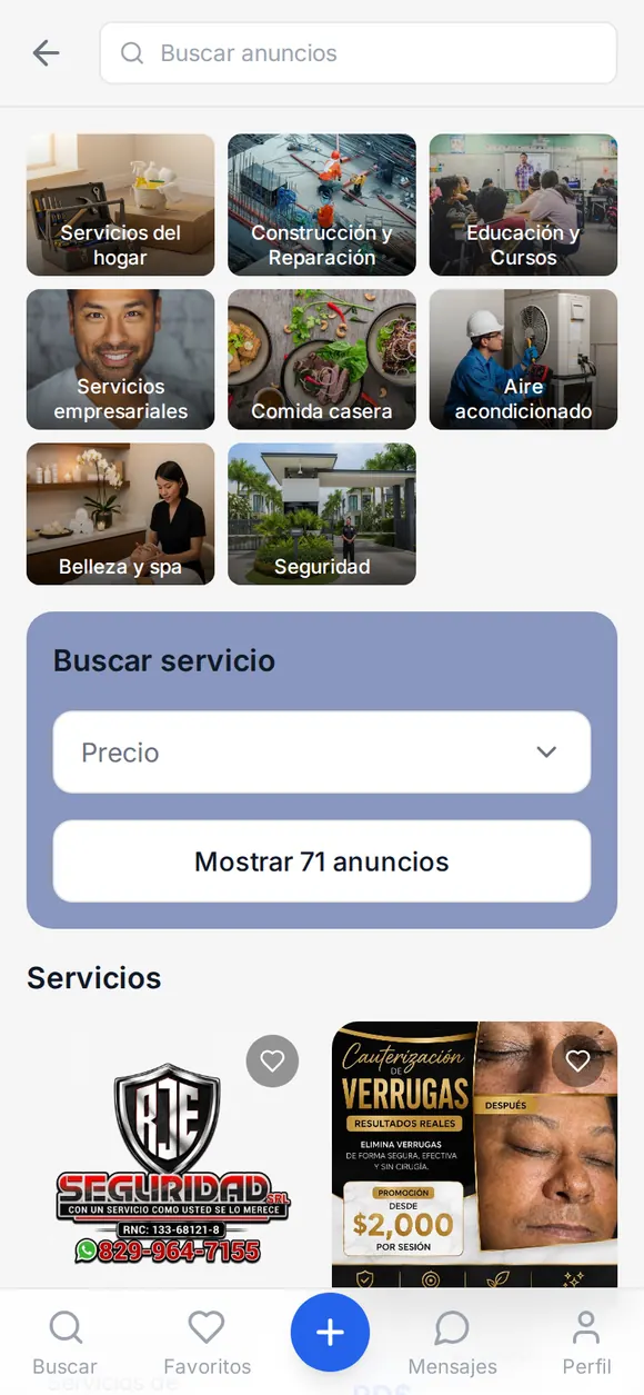 Captura: categoría de servicios