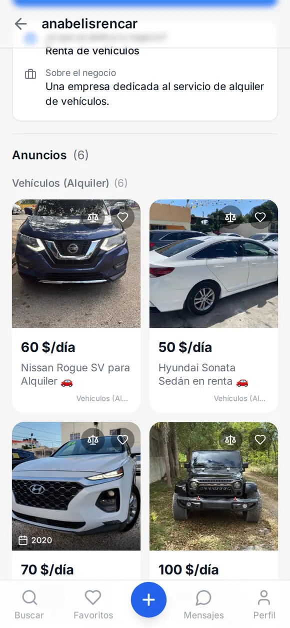 Captura: perfil de un rent car con su flota